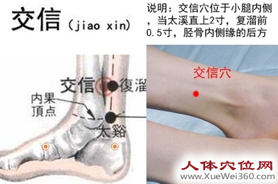 交信穴的准确位置图